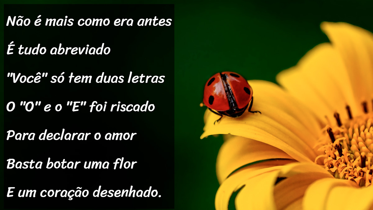 Projeto Cordel